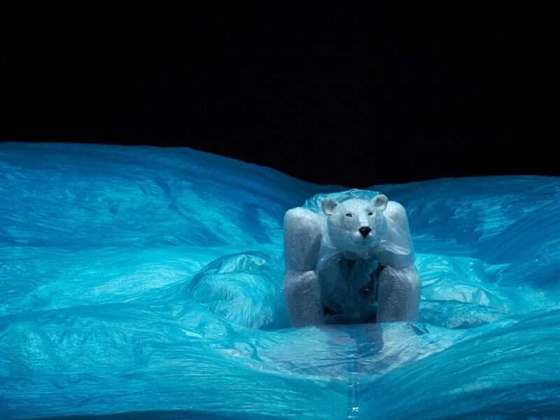 Lowres La Llave Maestra Carnaval Der Dieren 2