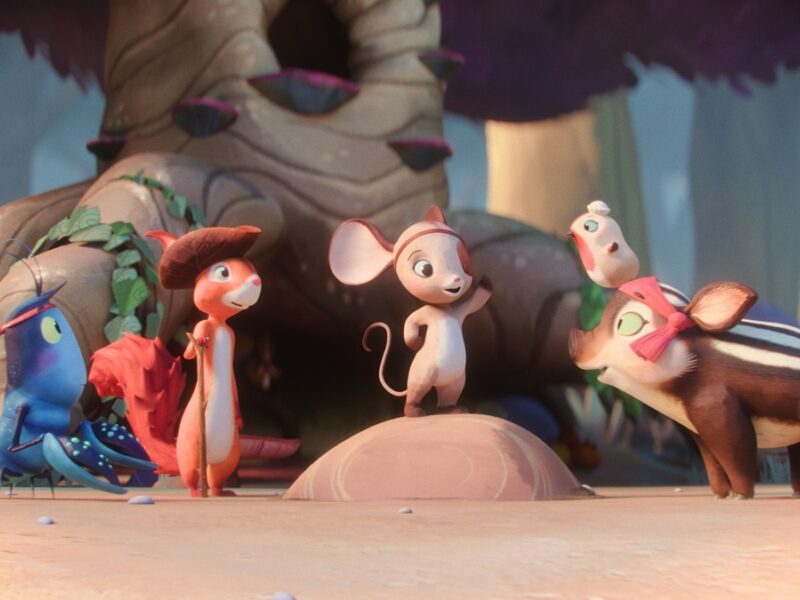 Pol De Piratenmuis En Het Verdwenen Schip Fillmstill 1