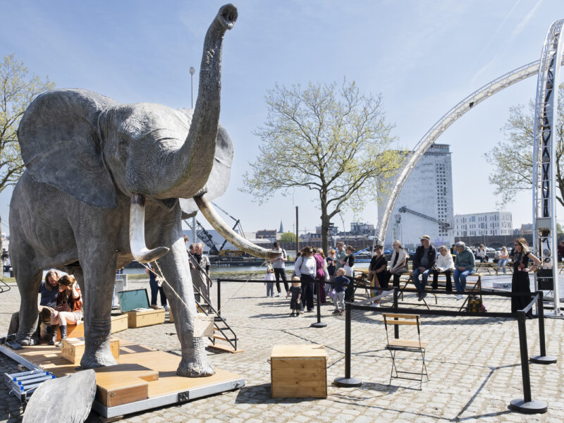 Seiz Beeld Tembo 6 C Stefan Gevaerts