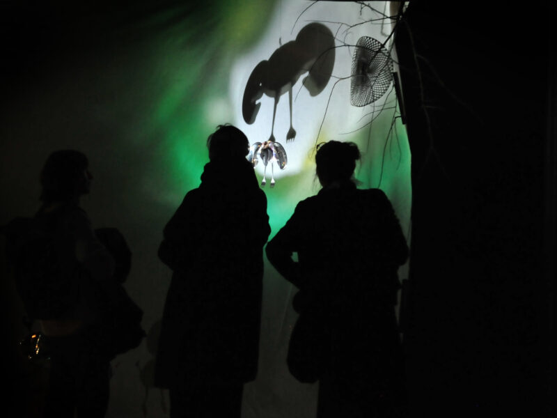 Installatie Hp© Maaike Buys 7665